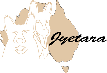 Jyetara#3
