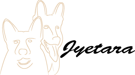 Jyetara#3b