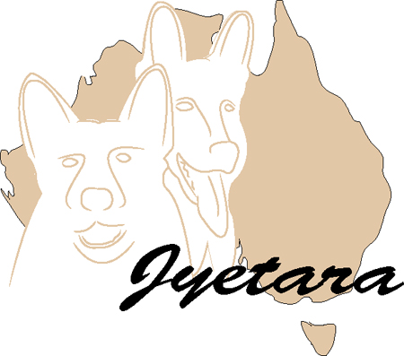 Jyetara#4