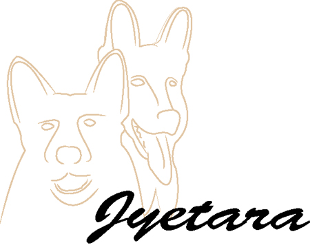Jyetara#4b