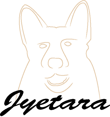 Jyetara#5