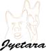 Jyetara#2b